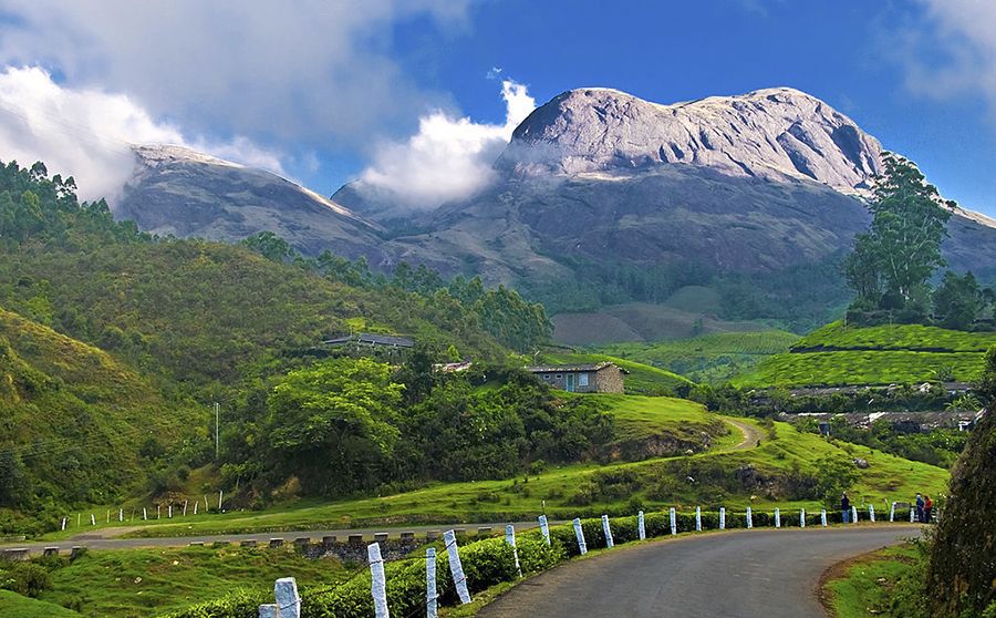 Kochi To Munnar Distance By Road Time And Other Useful Travel Information   Kochi To Munnar Highway 