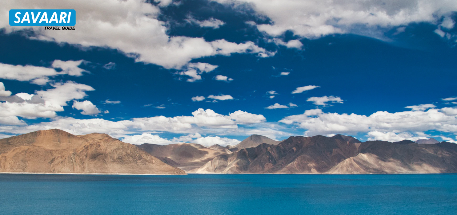 Land of High Passes Explored - Things to do in Ladakh