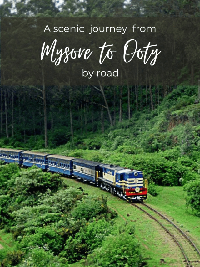 mysore to ooty by road