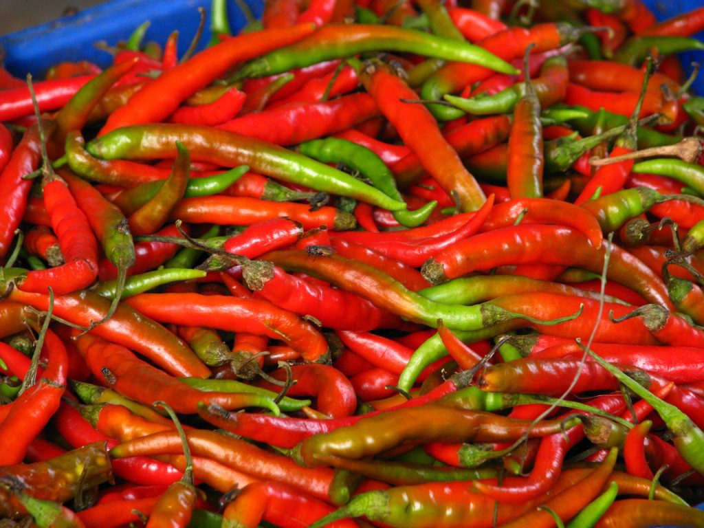 10 Hottest chilli to try in India -The great Indian chilli trail