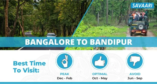 road trip from bangalore to bandipur