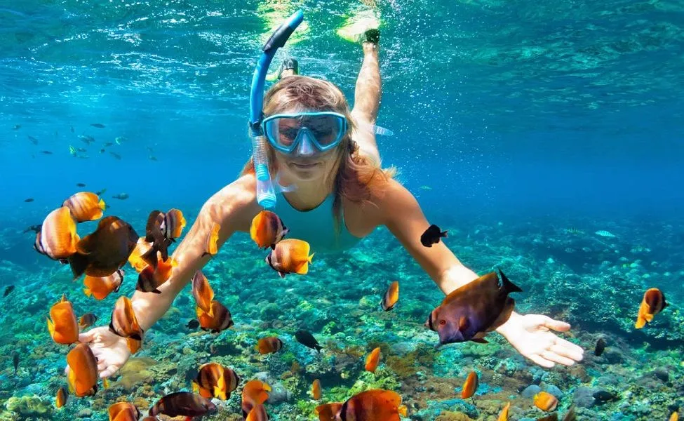 Snorkeling in Elephant Beach