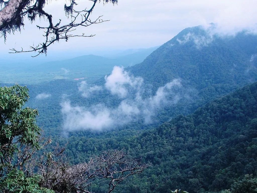 View from the Agumbe view point