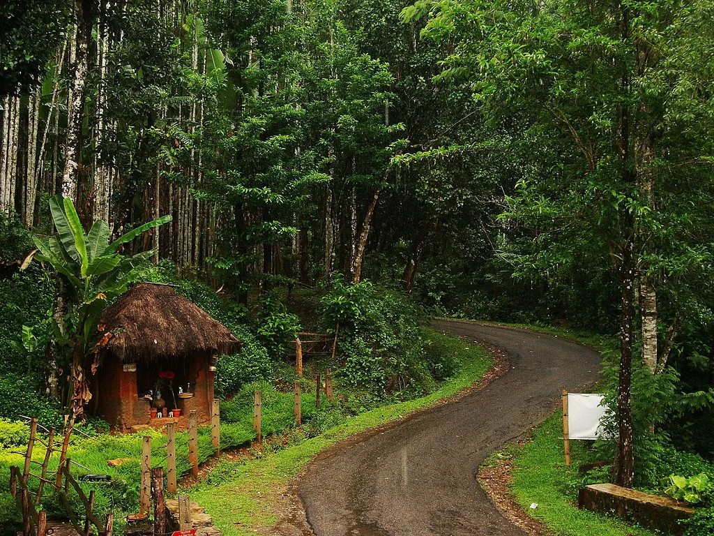 Monsoon trips in India - The roads of Agumbe