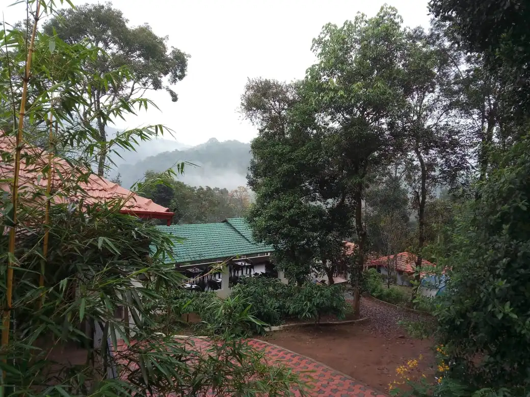 Monsoon trip in India - Coorg