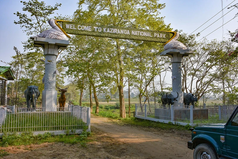 Kaziranga National Park