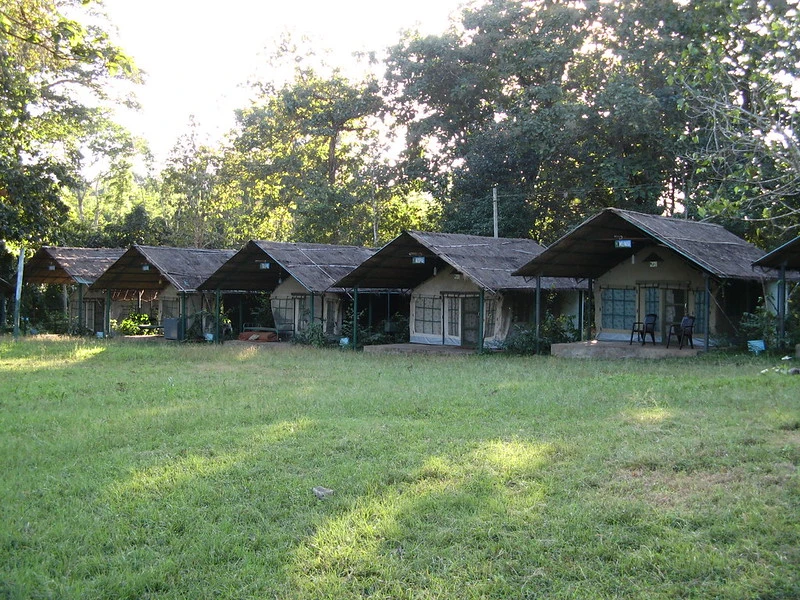 Kulgi Nature Camp