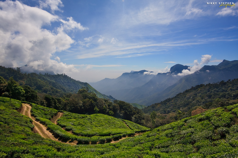 road trip to Munnar