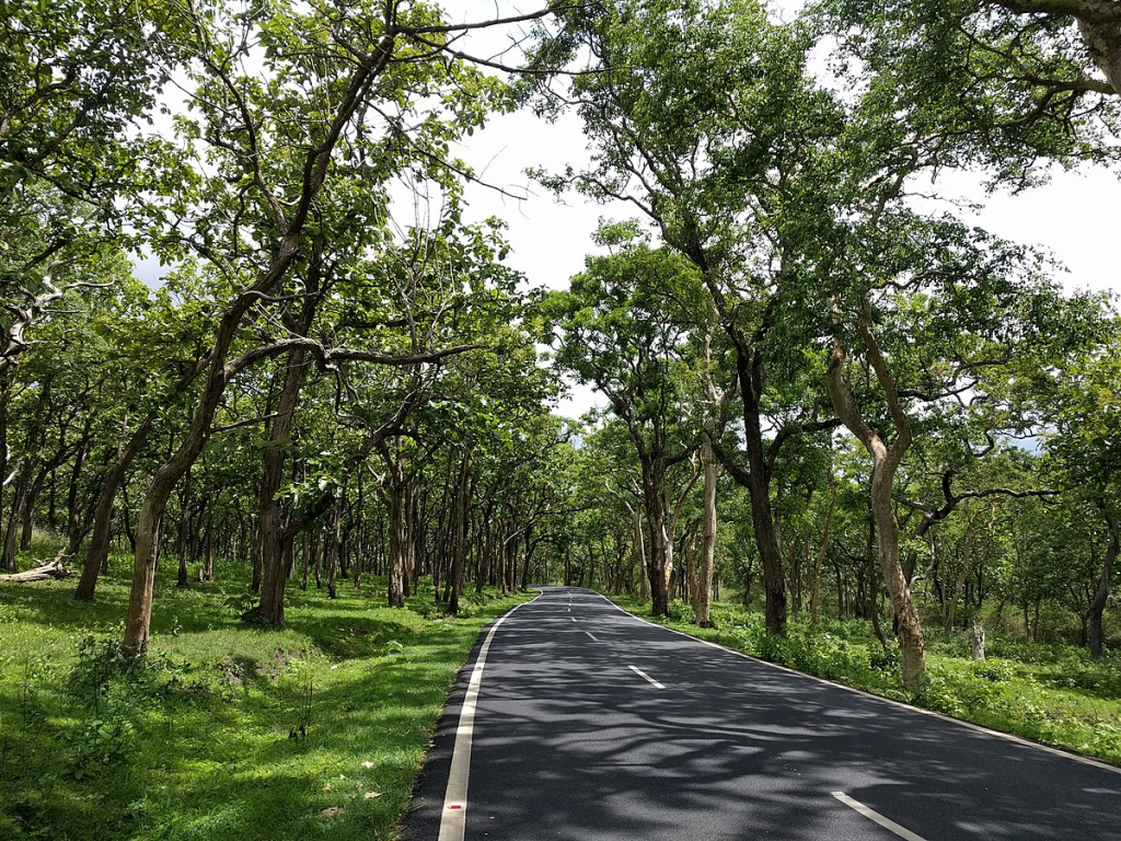 Road to Bandipur National park