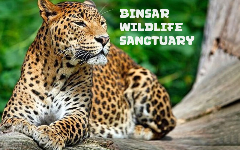 Binsar Wildlife Sanctuary