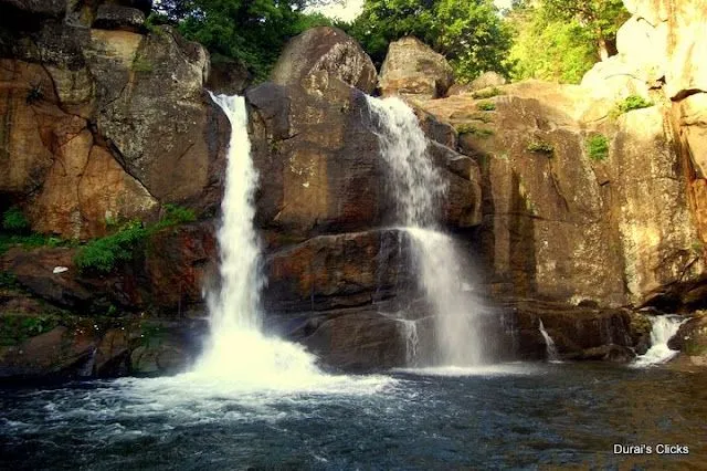 Honey Falls