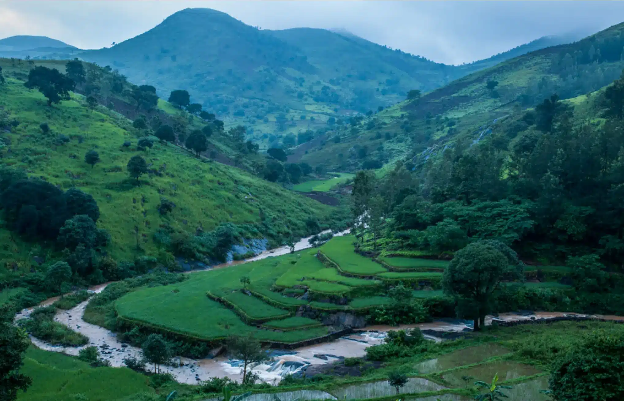 Araku Valley